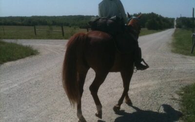 From Vulnerability to Confidence: Long-riding on Horseback