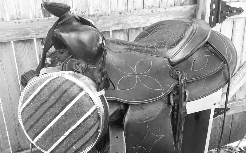 A Horse and Saddle of One’s Own